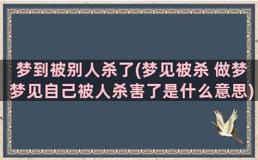 梦到被别人杀了(梦见被杀 做梦梦见自己被人杀害了是什么意思)